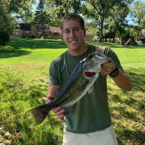 Meet your Posher, Elliott